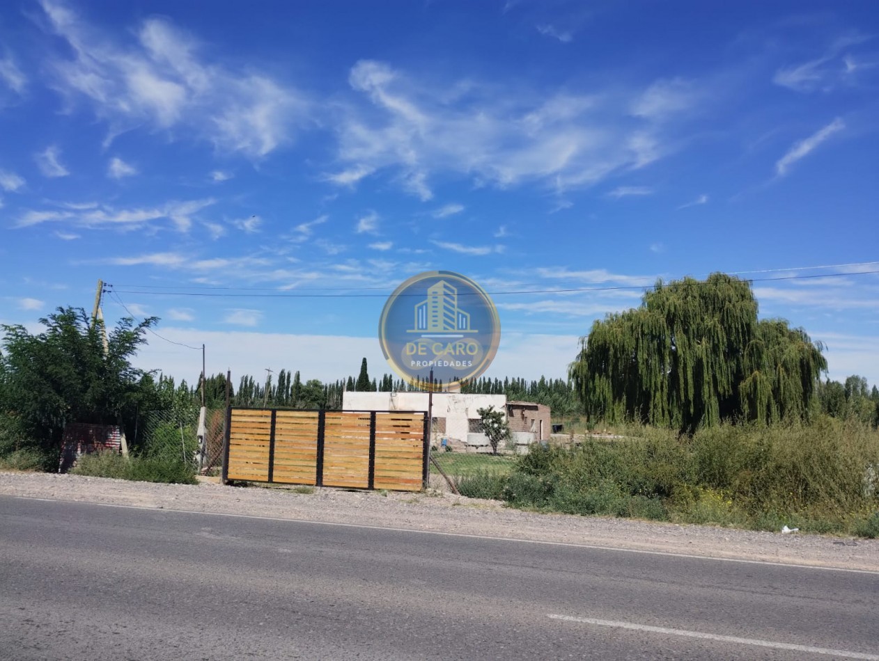 Venta de 2 Chacras en conjunto frente a Ruta 151 Cinco Saltos 