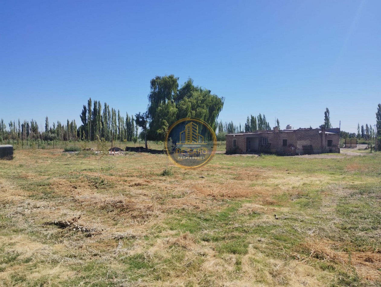 Venta de 2 Chacras en conjunto frente a Ruta 151 Cinco Saltos 