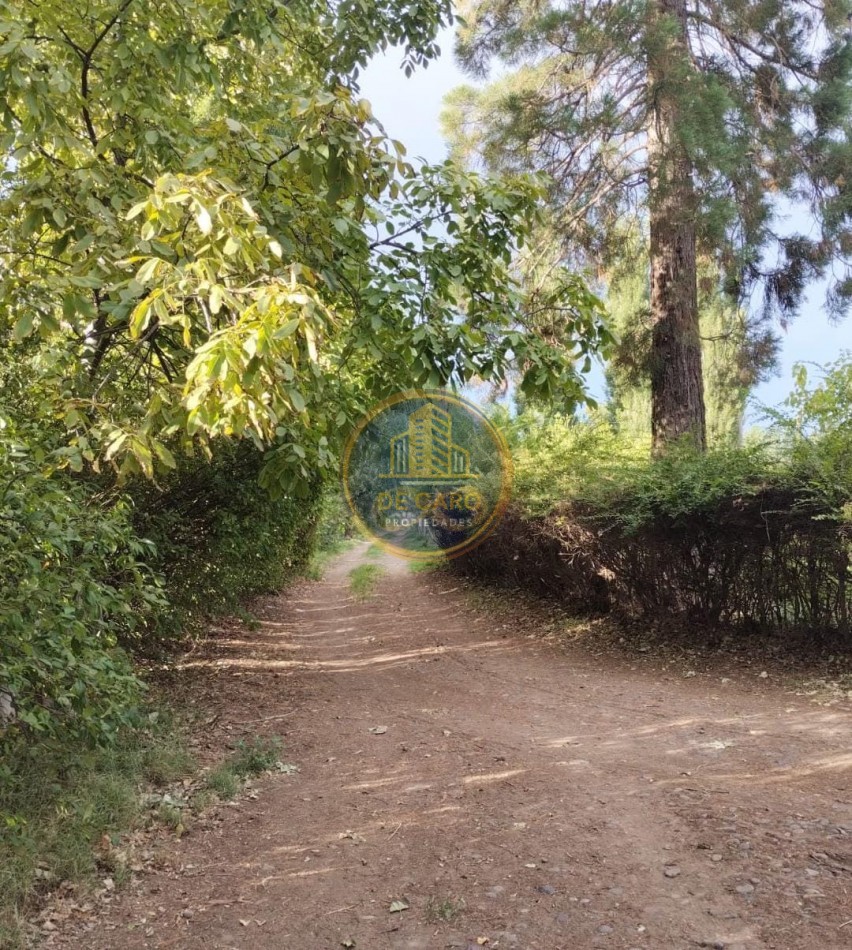 Venta Chacra camino a Vaca Muerta