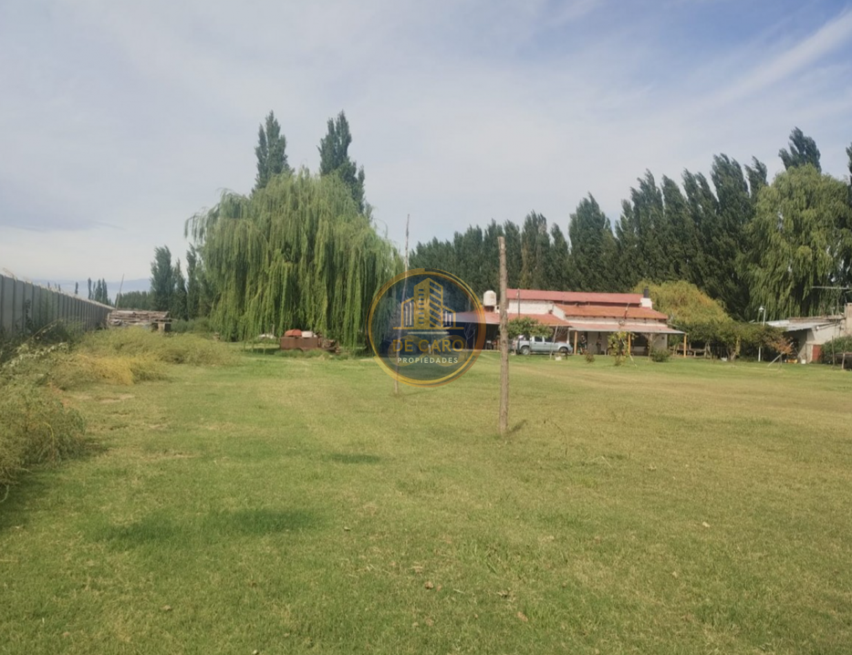 Venta Chacra camino a Vaca Muerta