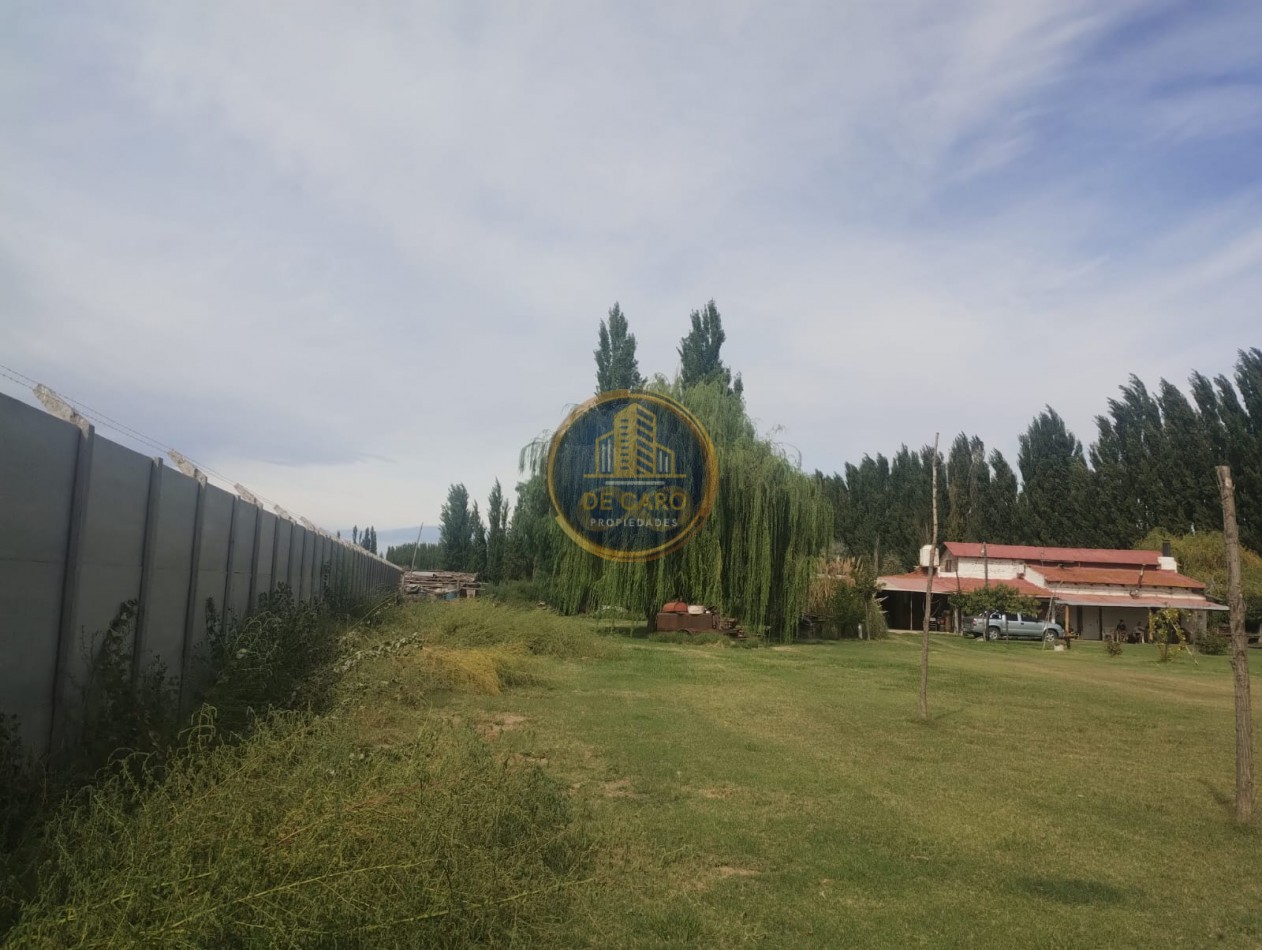 Venta Chacra camino a Vaca Muerta
