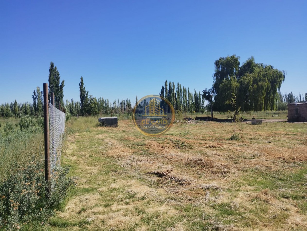 Venta de 2 Chacras en conjunto frente a Ruta 151 Cinco Saltos 