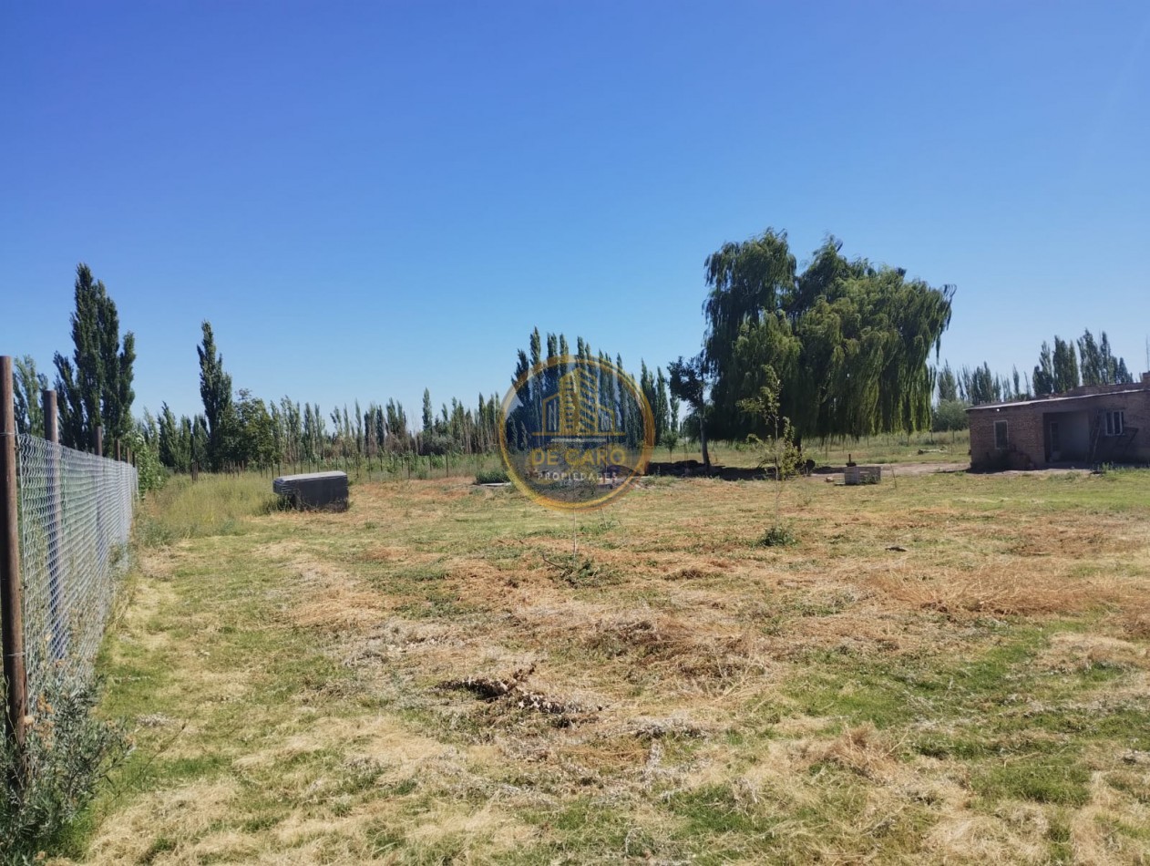 Venta de 2 Chacras en conjunto frente a Ruta 151 Cinco Saltos 