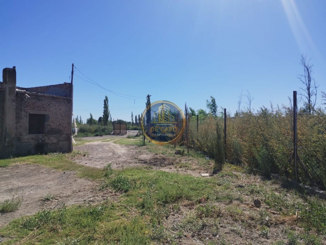 Venta de 2 Chacras en conjunto frente a Ruta 151 Cinco Saltos 