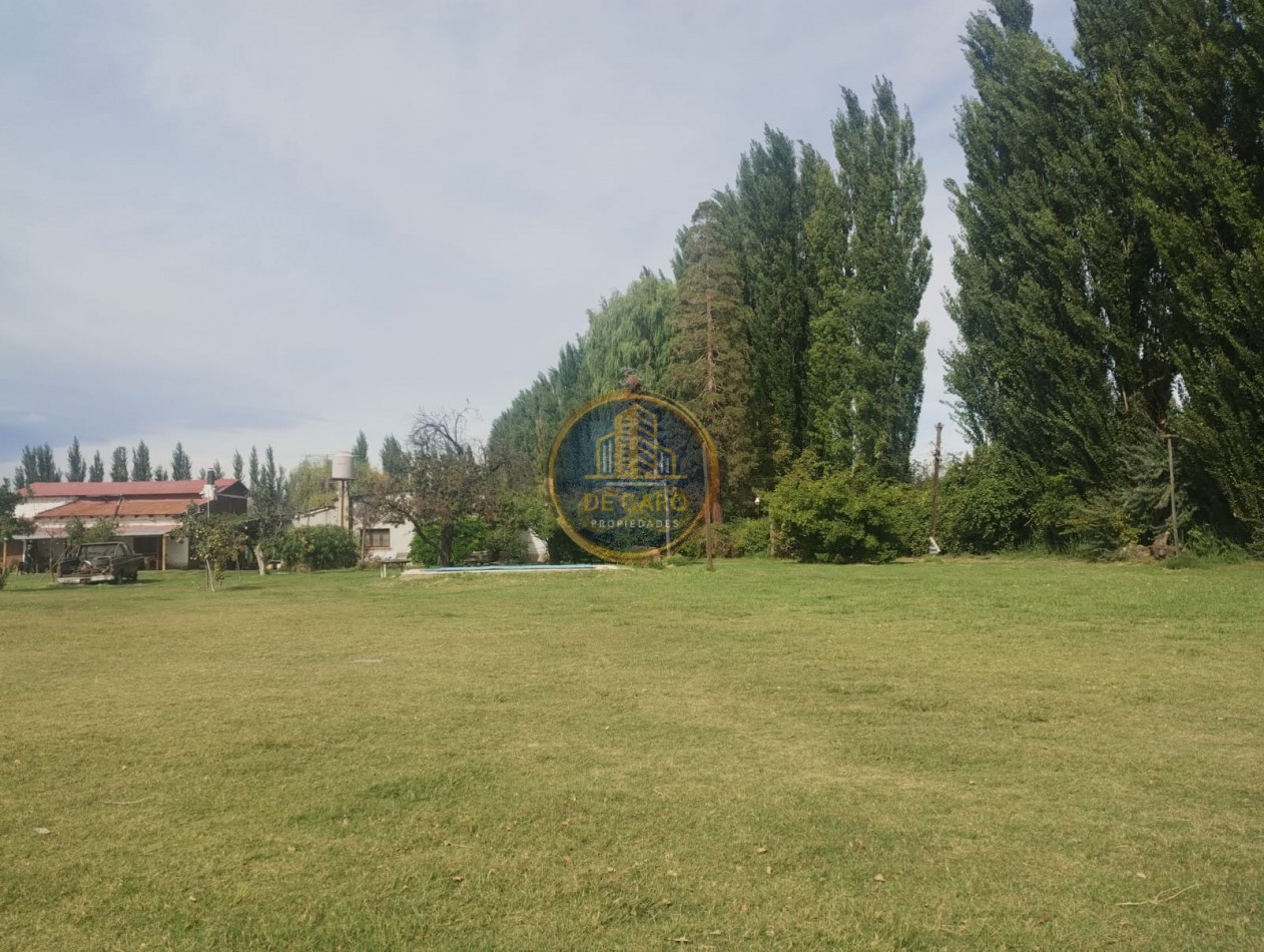 Venta Chacra camino a Vaca Muerta