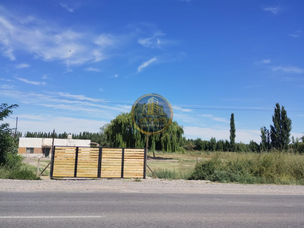 Venta de 2 Chacras en conjunto frente a Ruta 151 Cinco Saltos 