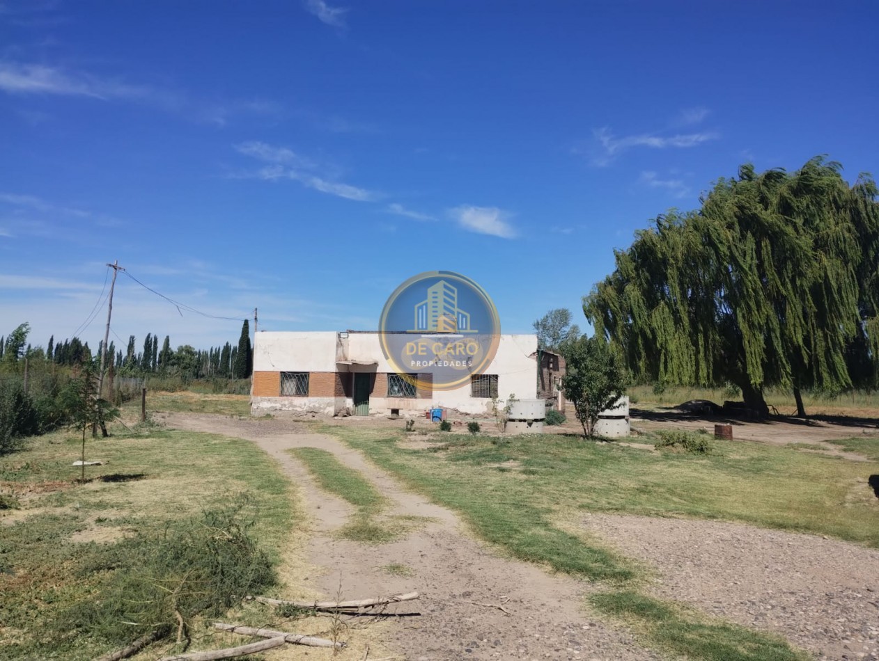 Venta de 2 Chacras en conjunto frente a Ruta 151 Cinco Saltos 