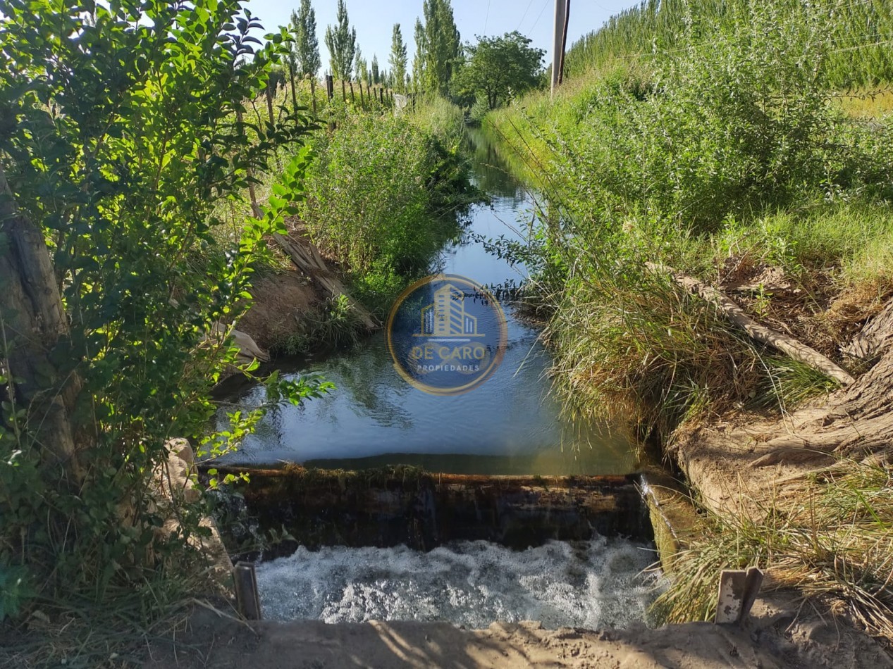 Venta Chacra camino a Vaca Muerta