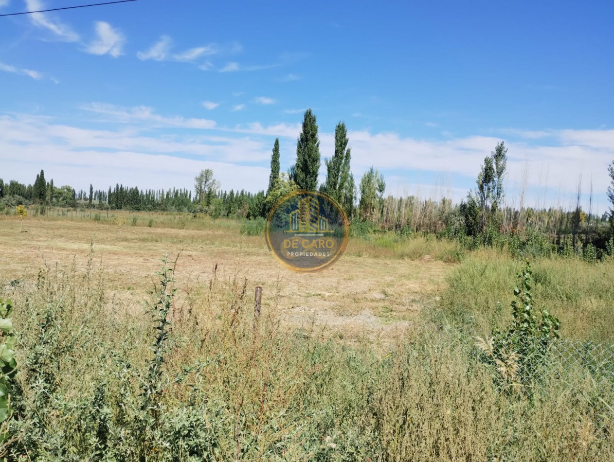 Venta de 2 Chacras en conjunto frente a Ruta 151 Cinco Saltos 