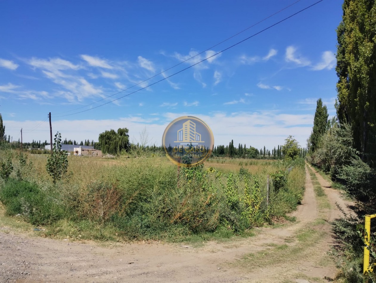Venta de 2 Chacras en conjunto frente a Ruta 151 Cinco Saltos 