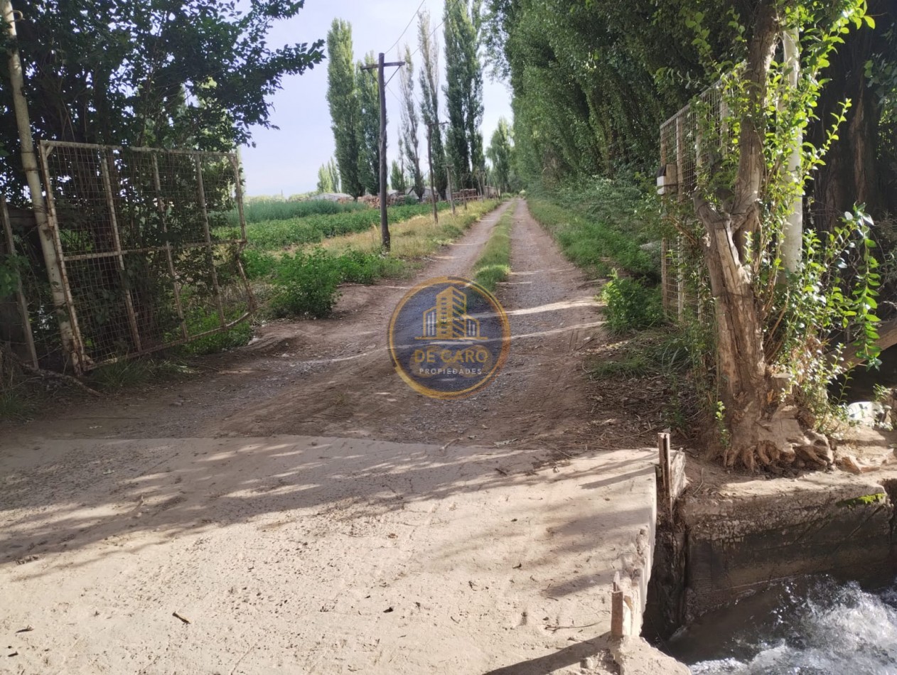 Venta Chacra camino a Vaca Muerta