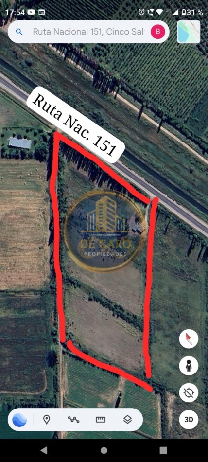 Venta de 2 Chacras en conjunto frente a Ruta 151 Cinco Saltos 