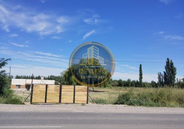Venta de 2 Chacras en conjunto frente a Ruta 151 Cinco Saltos 