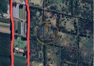 Venta Chacra camino a Vaca Muerta
